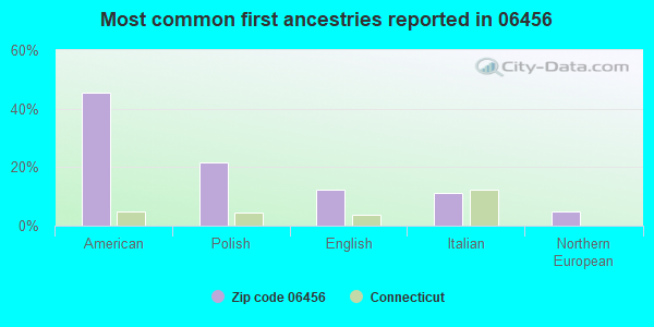 Most common first ancestries reported in 06456