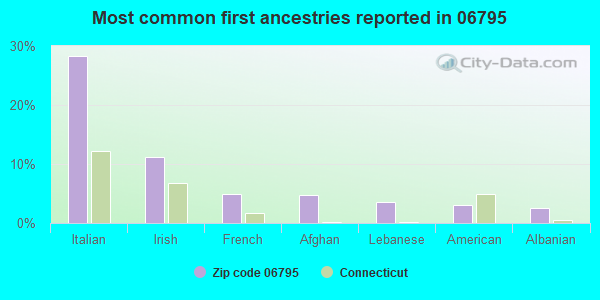 Most common first ancestries reported in 06795