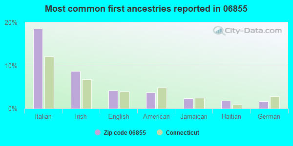 Most common first ancestries reported in 06855