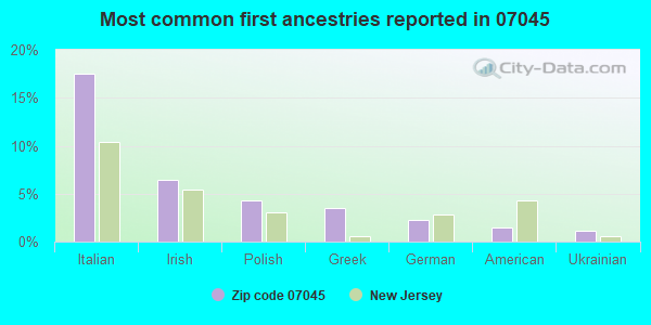 Most common first ancestries reported in 07045