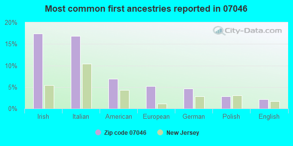 Most common first ancestries reported in 07046