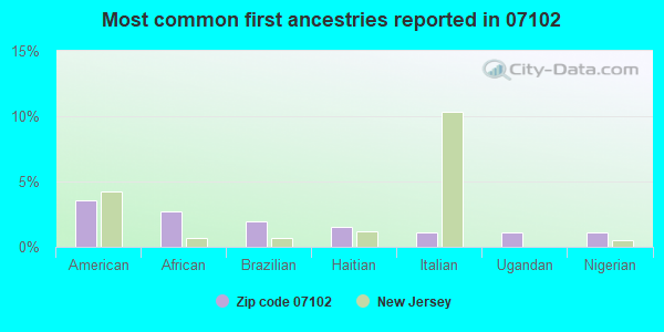 Most common first ancestries reported in 07102