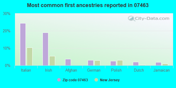 Most common first ancestries reported in 07463