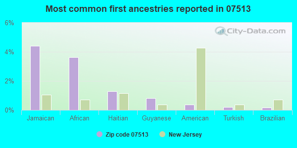 Most common first ancestries reported in 07513