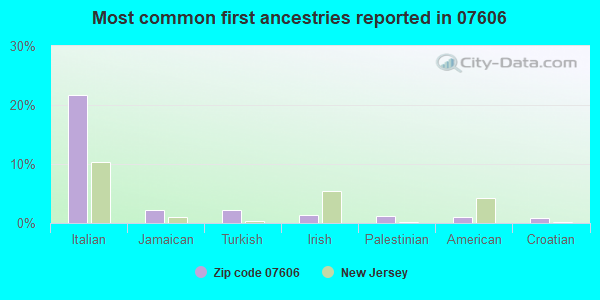 Most common first ancestries reported in 07606