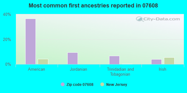 Most common first ancestries reported in 07608