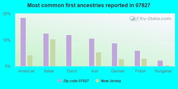 Most common first ancestries reported in 07827