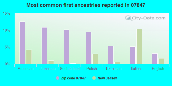 Most common first ancestries reported in 07847