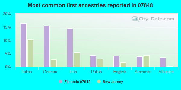 Most common first ancestries reported in 07848