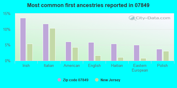 Most common first ancestries reported in 07849