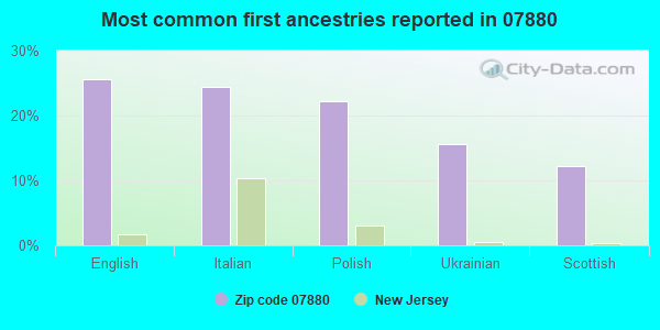 Most common first ancestries reported in 07880