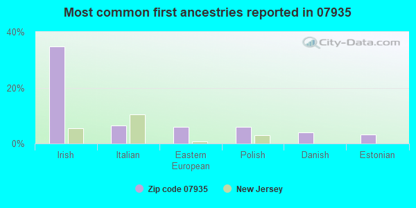 Most common first ancestries reported in 07935