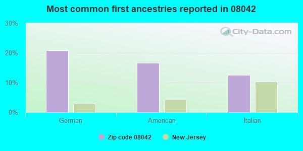 Most common first ancestries reported in 08042