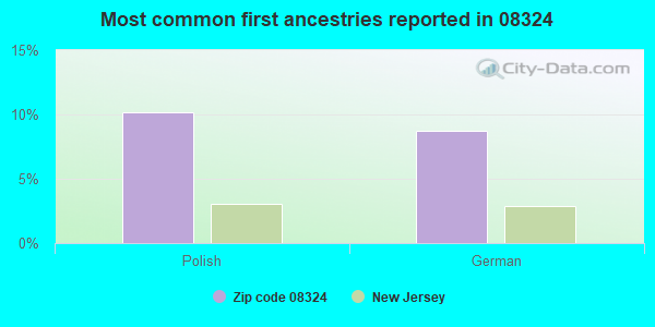 Most common first ancestries reported in 08324