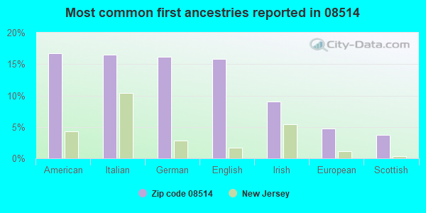 Most common first ancestries reported in 08514