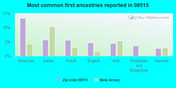 Most common first ancestries reported in 08515