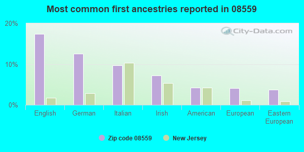 Most common first ancestries reported in 08559