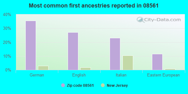 Most common first ancestries reported in 08561