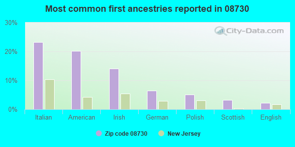 Most common first ancestries reported in 08730