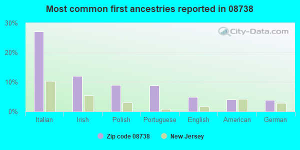 Most common first ancestries reported in 08738