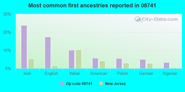 Most common first ancestries reported in 08741
