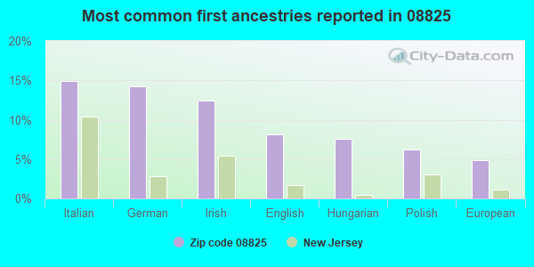 Most common first ancestries reported in 08825