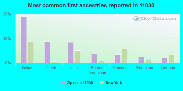 Most common first ancestries reported in 11030