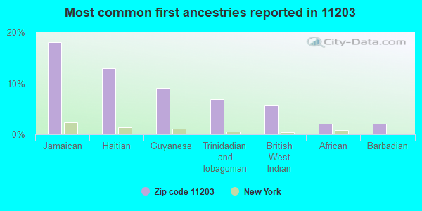 Most common first ancestries reported in 11203