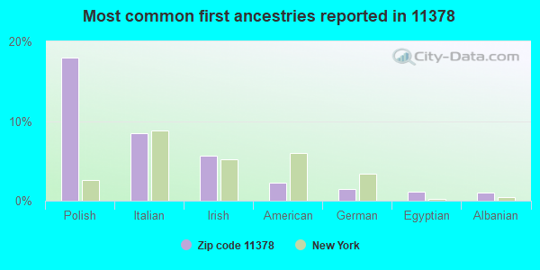Most common first ancestries reported in 11378