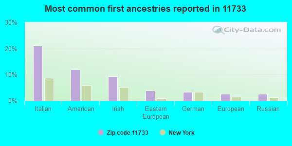Most common first ancestries reported in 11733