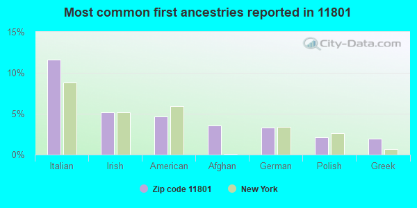 Most common first ancestries reported in 11801