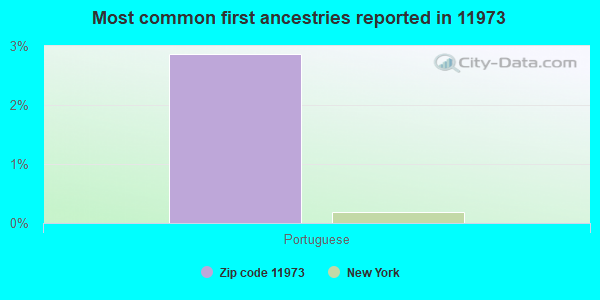 Most common first ancestries reported in 11973
