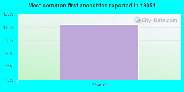 Most common first ancestries reported in 13051