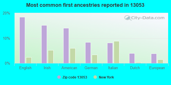 Most common first ancestries reported in 13053
