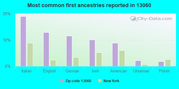 Most common first ancestries reported in 13060