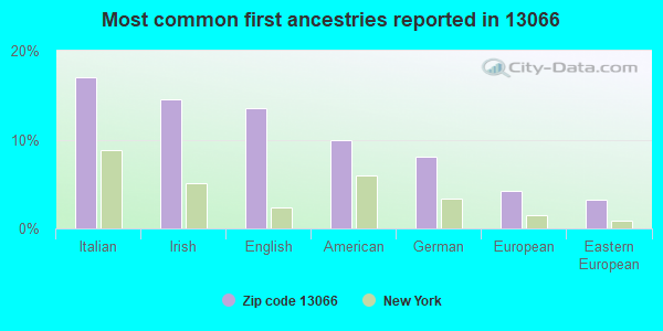 Most common first ancestries reported in 13066