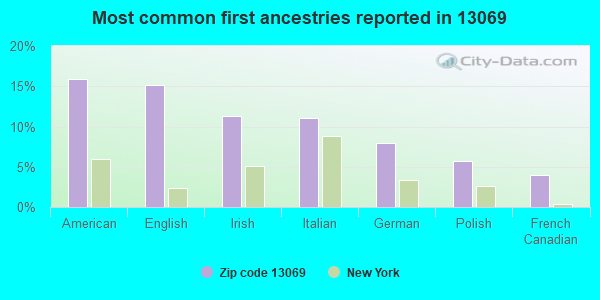Most common first ancestries reported in 13069