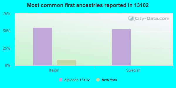 Most common first ancestries reported in 13102