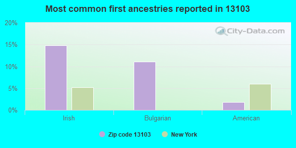 Most common first ancestries reported in 13103