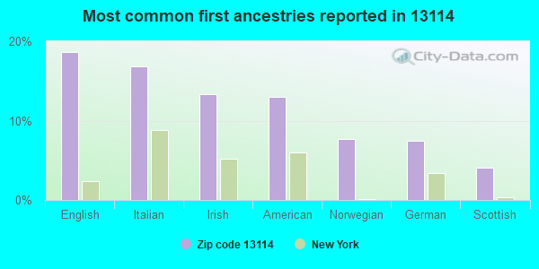 Most common first ancestries reported in 13114