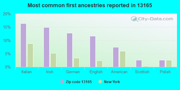 Most common first ancestries reported in 13165