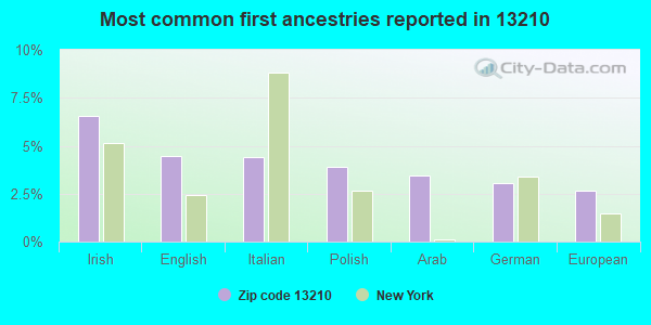 Most common first ancestries reported in 13210