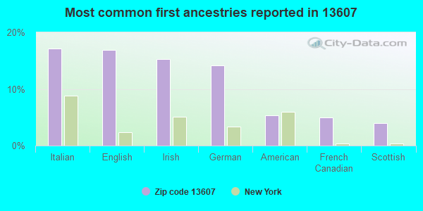 Most common first ancestries reported in 13607
