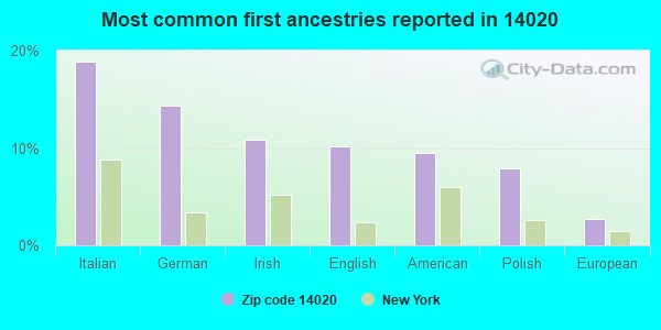 Most common first ancestries reported in 14020