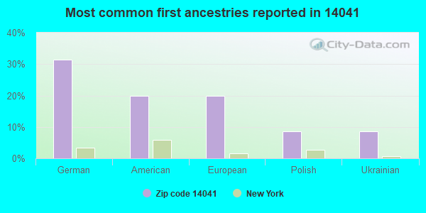 Most common first ancestries reported in 14041