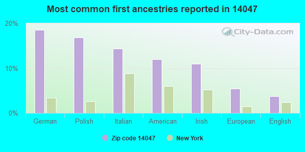 Most common first ancestries reported in 14047