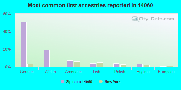 Most common first ancestries reported in 14060