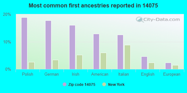Most common first ancestries reported in 14075