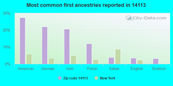 Most common first ancestries reported in 14113