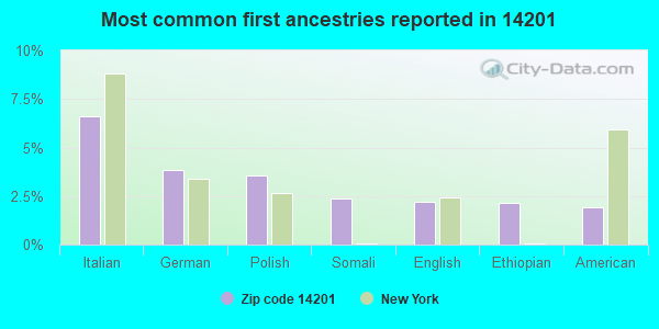 Most common first ancestries reported in 14201